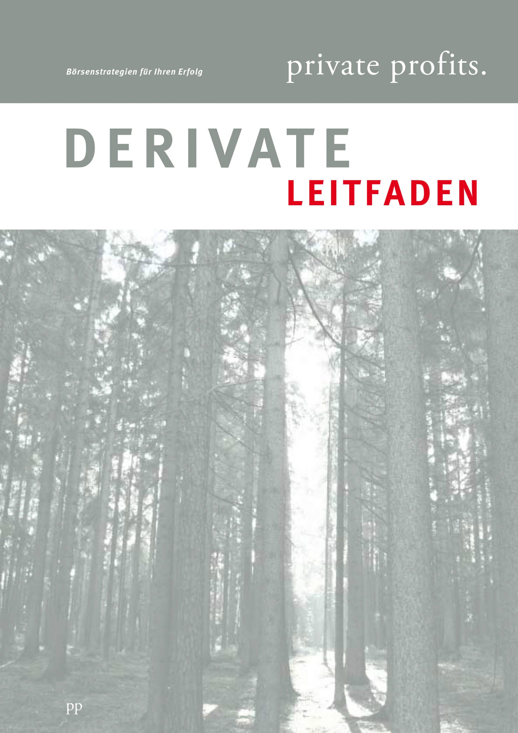 Titelbild des Derivate-Leitfadens